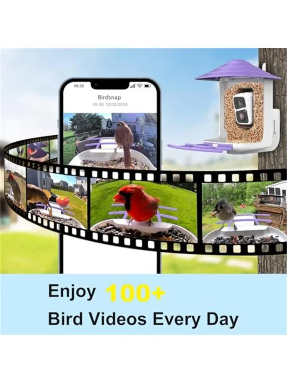 New TUC Bird Feeder with Camera 2K HD Live with 32GB Card Auto Detect